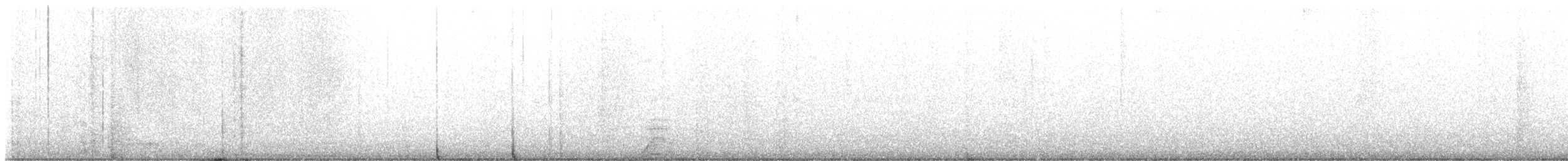 Coq de Java - ML646625904