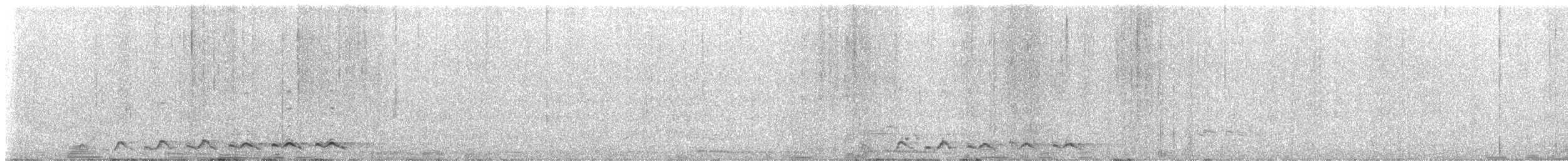 Coucou koël - ML646625921