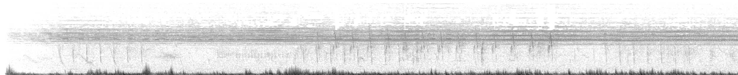 Coucou de Klaas - ML646626295