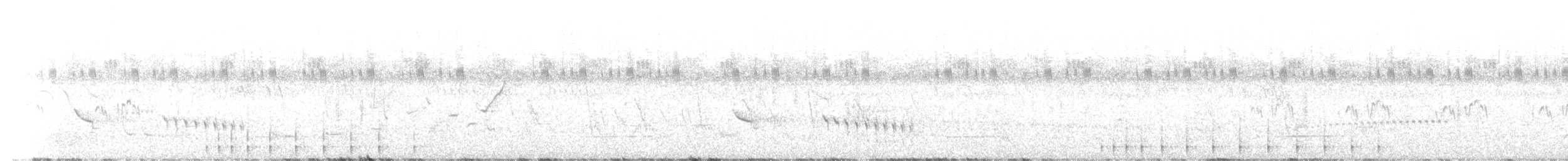 Pic barbu - ML646626311