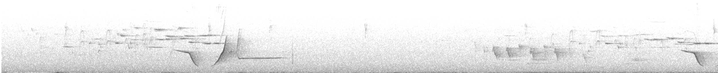 Siffleur olivâtre - ML646627150