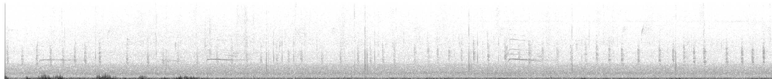 Chochín Criollo Norteño - ML646627299