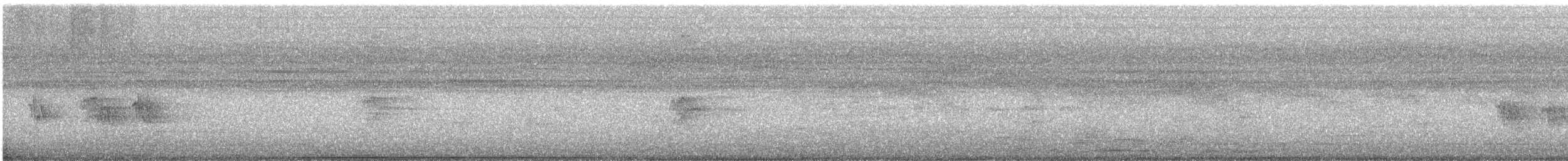 Colinegro Familiar - ML646627300