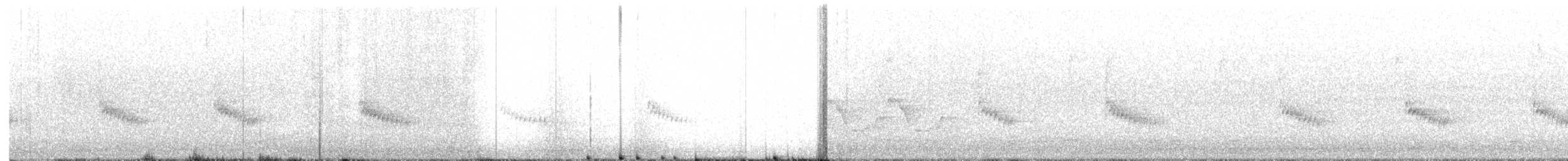 Cucarachero de Carolina - ML646627311