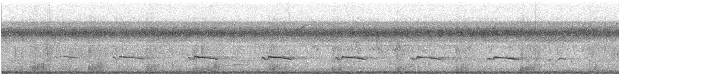 Gray-bellied Cuckoo - ML646627581