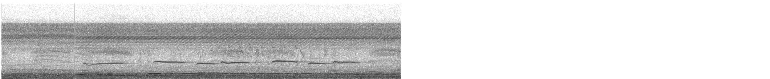 Gray-bellied Cuckoo - ML646627600