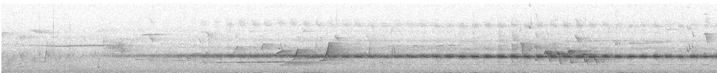 Sahul Tırtılyiyeni - ML646627676