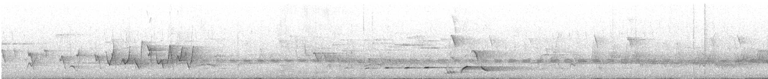 Sahul Cicadabird - ML646627781