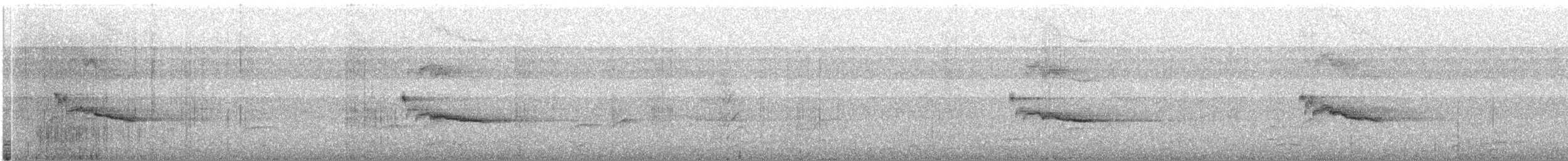 Hint Küpeli Çiğdecisi - ML646628001