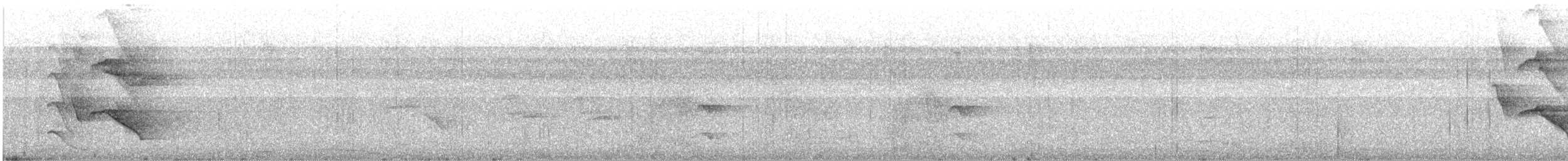 Hint Küpeli Çiğdecisi - ML646628002