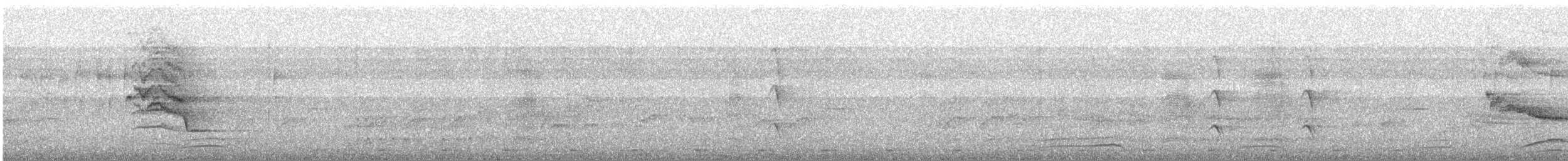 Hint Küpeli Çiğdecisi - ML646628003