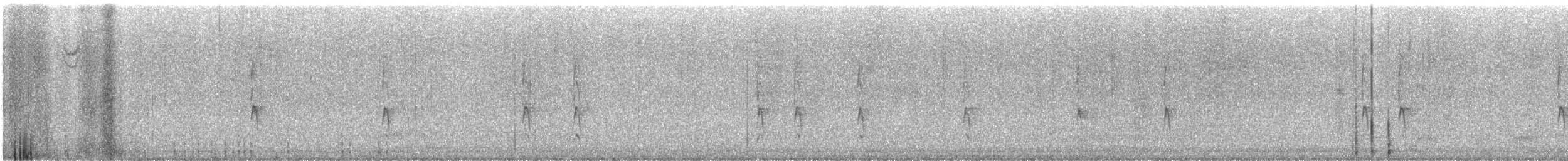 Troglodyte des forêts - ML646628195