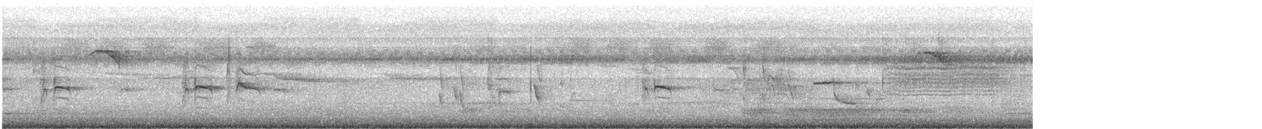 מוניה מפוספסת-חזה - ML646628211