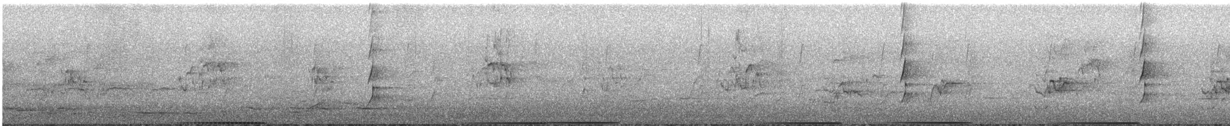 Австралийский бронзовокрыл - ML646628391