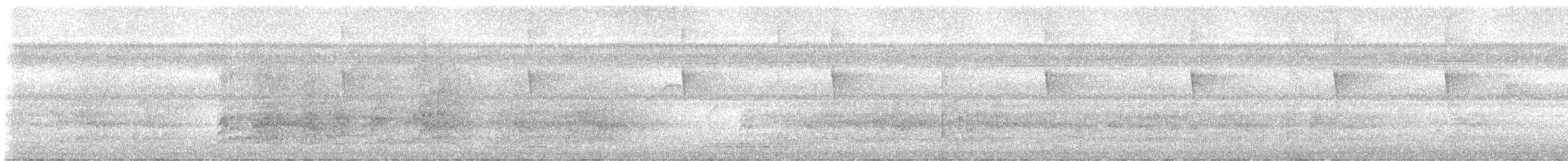 Cobalt-winged Parakeet - ML646628459