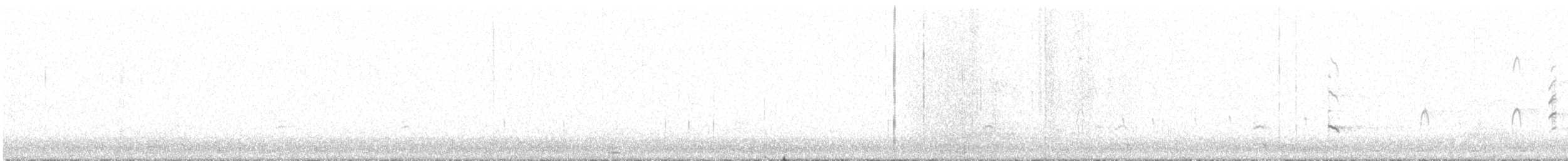 Cavaliere d'Italia - ML646628736