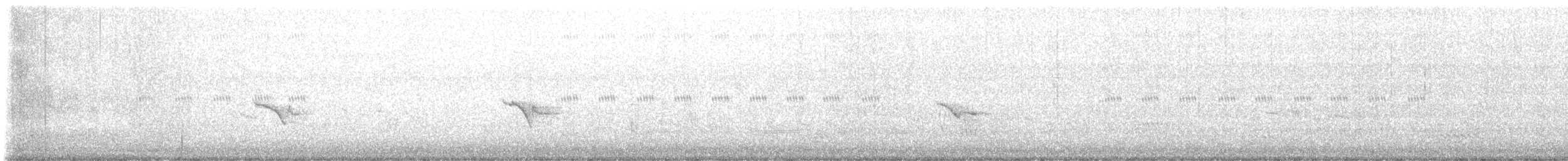 Calliope - ML646628743