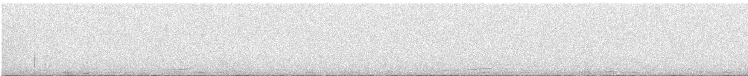 Civetta - ML646628760