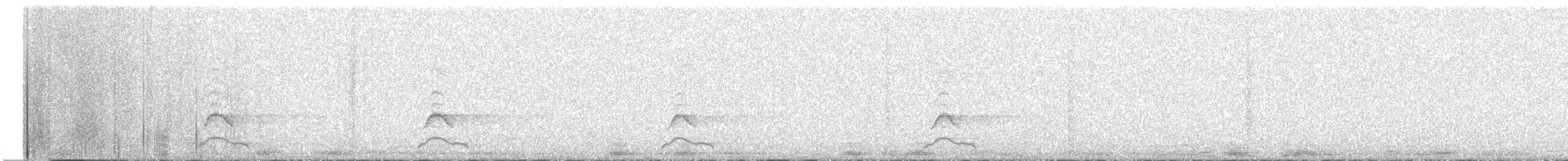 Barbagianni - ML646628764