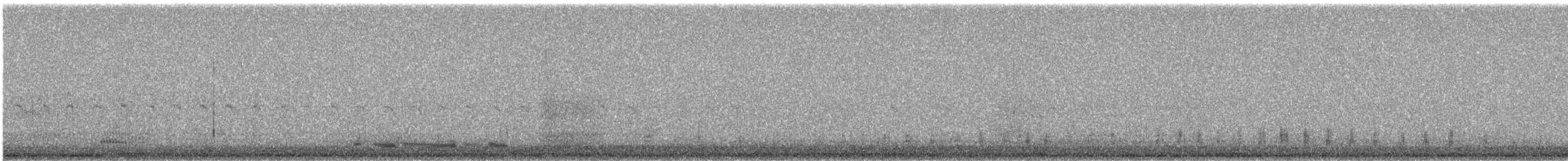 Smergo maggiore - ML646628829