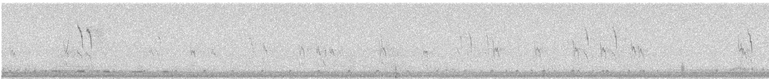 Spioncello del Pacifico - ML646628831