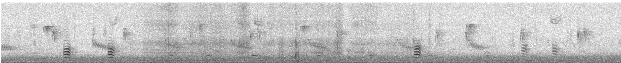 White-breasted Nuthatch - ML646629022