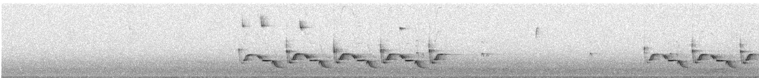 Carolina Wren - ML646629041