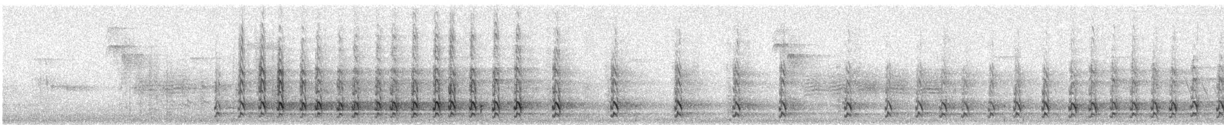 Pileated Woodpecker - ML646629100