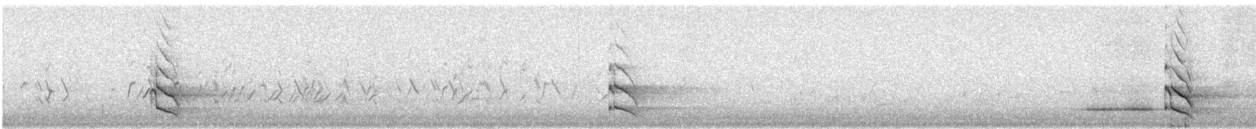 Northern Flicker - ML646629169