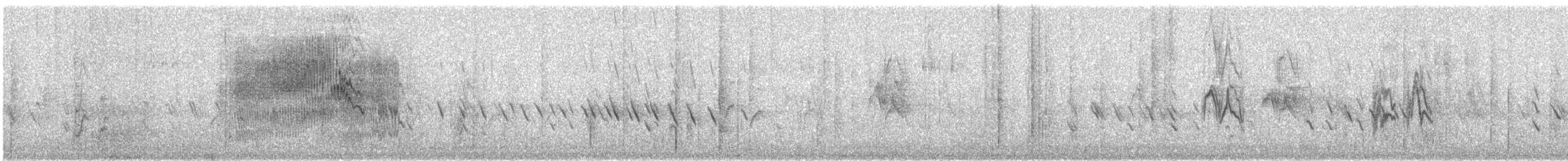 Pine Siskin - ML646629175