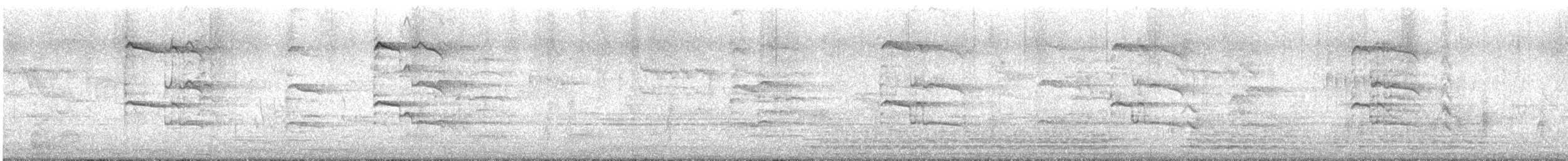 Индийский серый ток - ML646629297