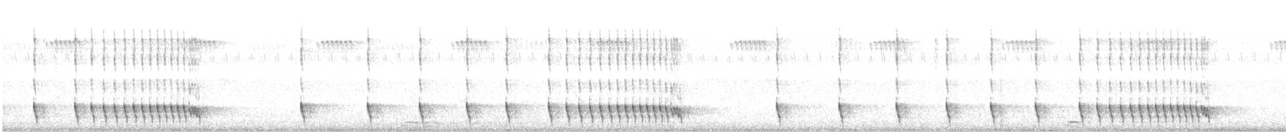 Chotacabras Hindú - ML646629387