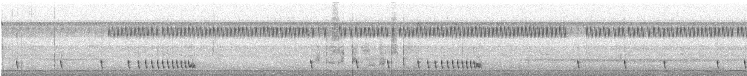 Chotacabras Hindú - ML646629419