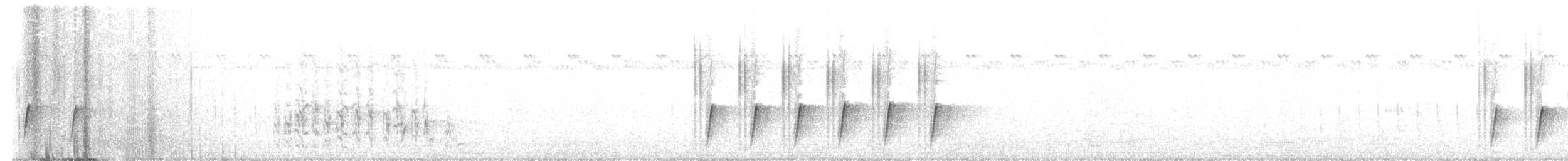 Camaroptère à tête grise (groupe brevicaudata) - ML646629623