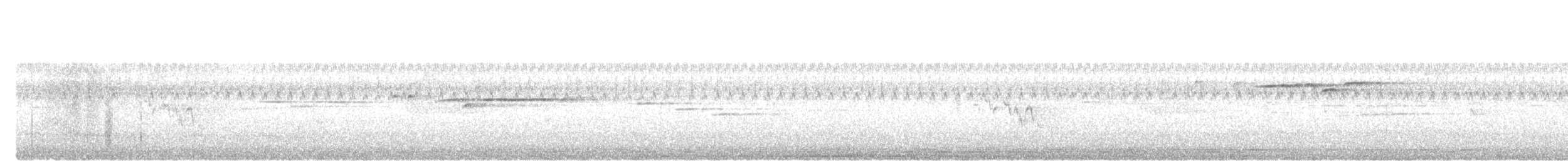 Желтобрюхая приния - ML646629757