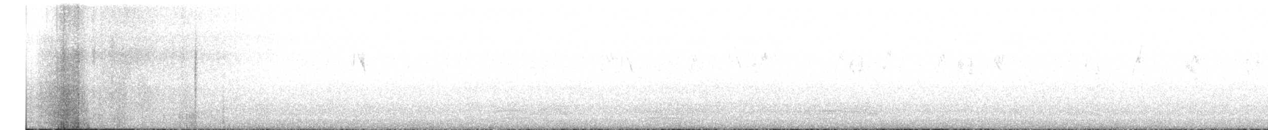 wagtail sp. - ML646629812