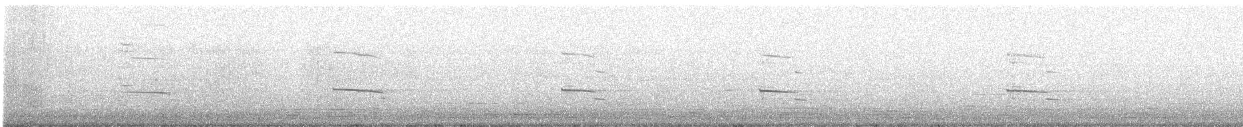 Yellow-legged Gull - ML646629856