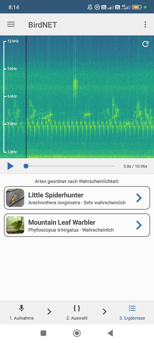 Little Spiderhunter - ML646629909