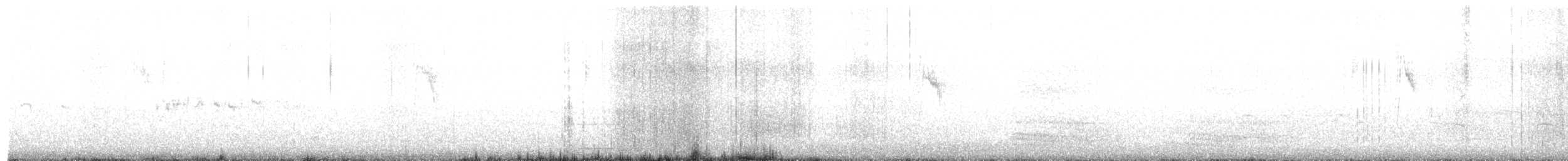 bergeronette sp. - ML646630004