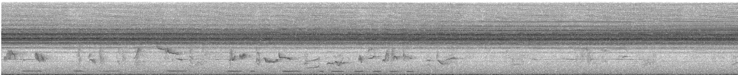 Carricero Políglota - ML646630772