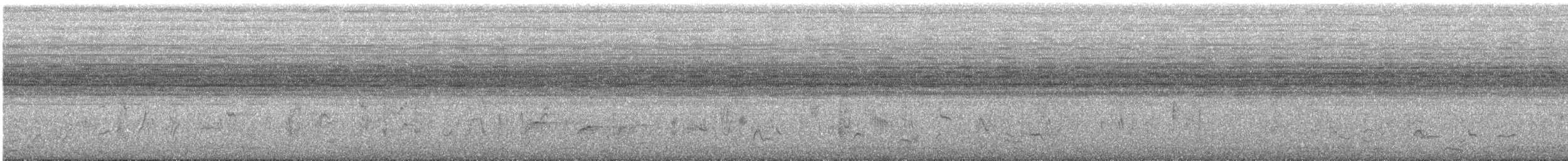 Carricero Políglota - ML646630773