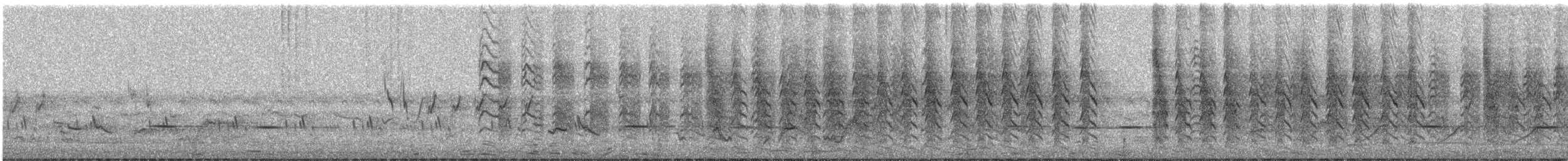 Cistícola de Woosnam - ML646630879
