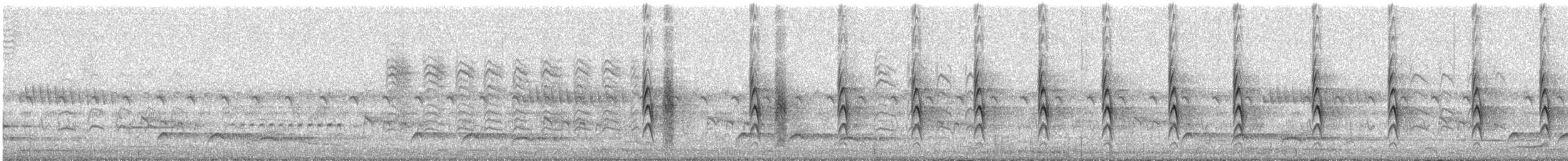 Cistícola de Woosnam - ML646630880