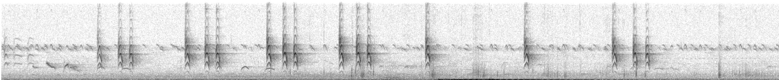 Cistícola de Woosnam - ML646630881