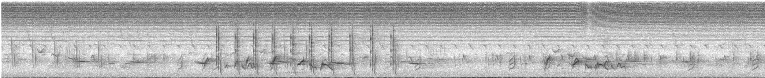Cubla Dorsinegra - ML646630887