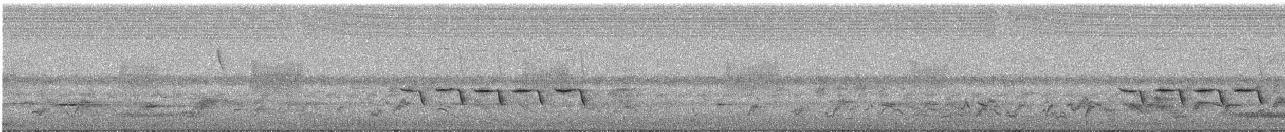 Amaranta de Jameson - ML646630976