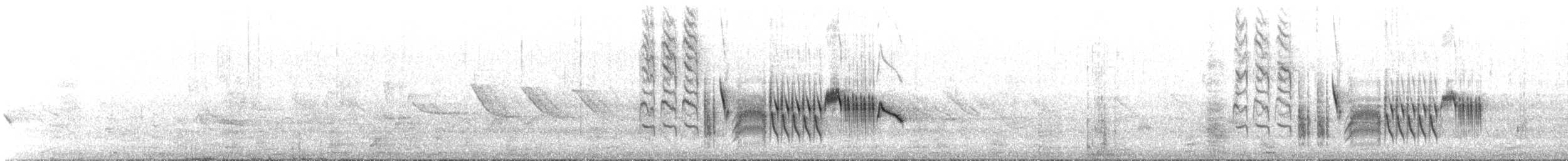 Southern House Wren - ML646631714