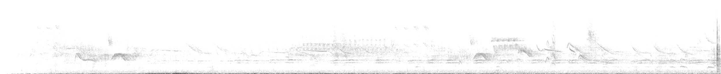 Magellanic Woodpecker - ML646631736