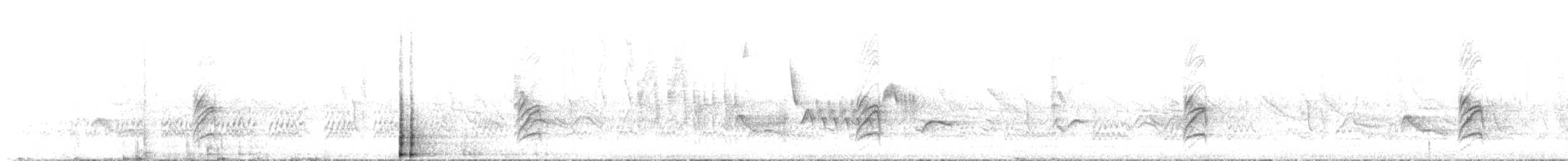 Magellanic Woodpecker - ML646631738