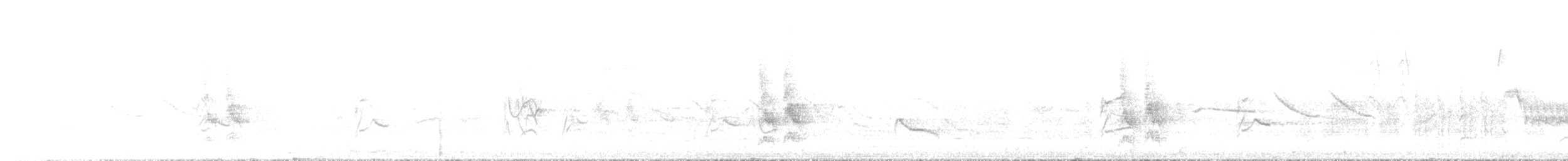 Magellanic Woodpecker - ML646631739